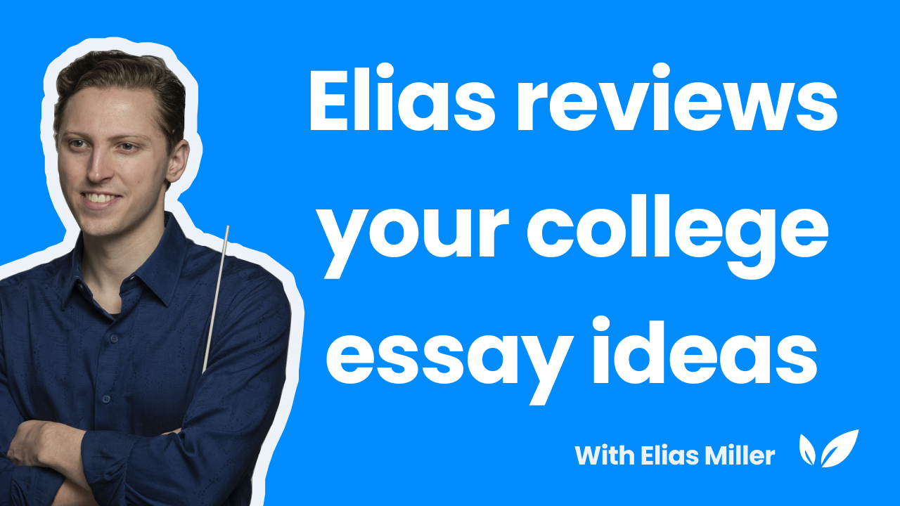 essay review about holiday