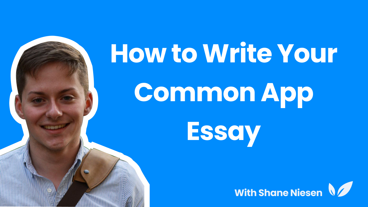 common app essay about teaching